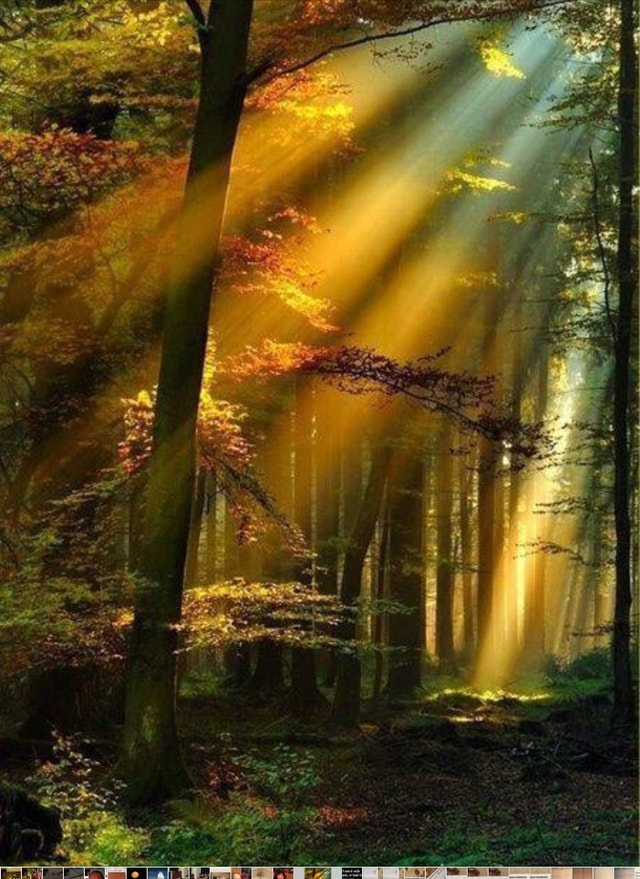 For SALE Two Apartment home, with two extra building lots. Houses for