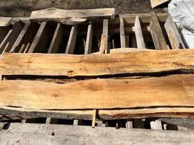 Sugar Maple Live Edge  Slabs , View more