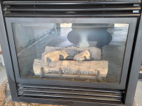 Gas fireplace insert-$50 