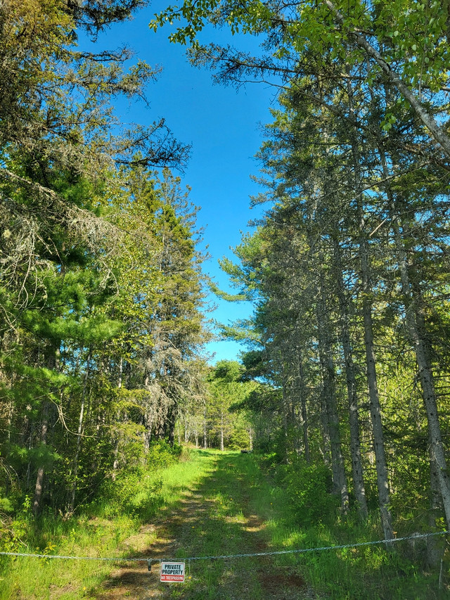 21 Acres for Sale Land for Sale Sudbury Kijiji