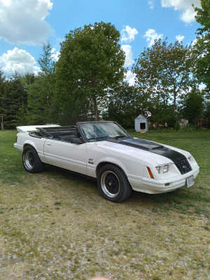 1983 Ford Mustang GT