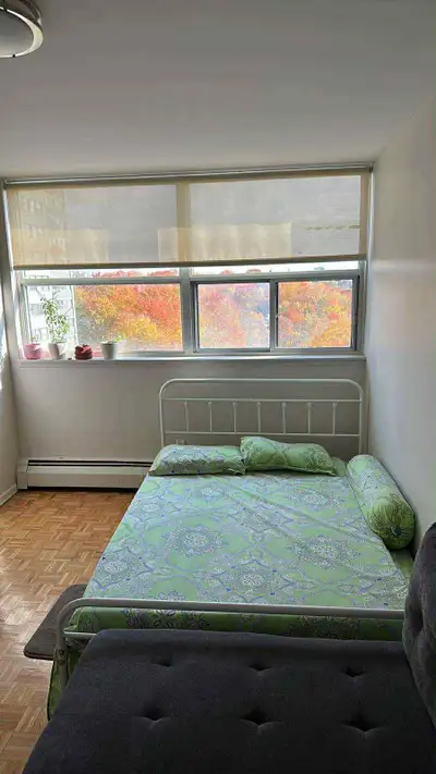 From Dec 1, 2025 Renting a spacious fully furnished 1 bedroom, shared washroom and kitchen. No parki...