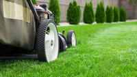 Lawn Care Business for Sale 