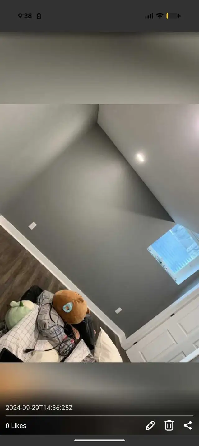 PROFESSIONAL OTTAWA PAINTER! 613-262-3721577405994235351046