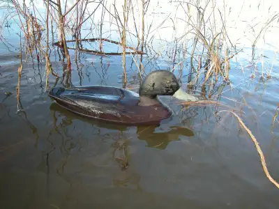 Duck Decoys - 'Blacks', View more