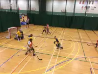 Inscriptions - Ligue de Hockey Balle 4x4 Pro Cosom à Montréal