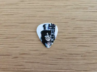 Apocalyptic Love Guitar Pick (Slash), View more