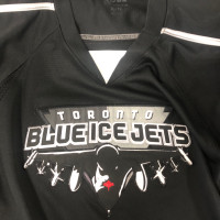 Just picked up my first SHL jersey! : r/hockeyjerseys