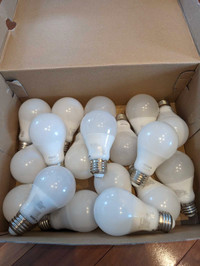 Philips hue light bulbs 