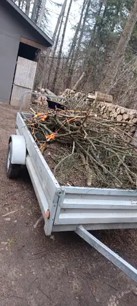 YARD WASTE PICKUP / DUMP TRAILER