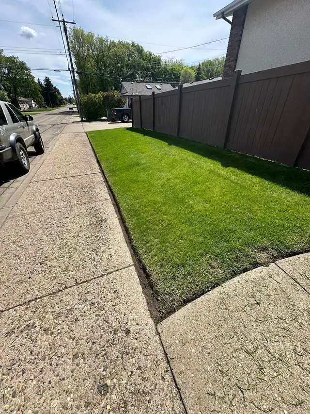 Professional Lawn Care in Lawn, Tree Maintenance & Eavestrough in Edmonton - Image 2