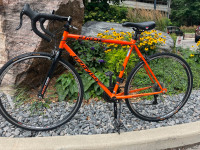 Kent Road bike $300