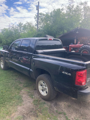 2010 Dodge Dakota Black 