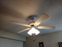 Ceiling fan with lights
