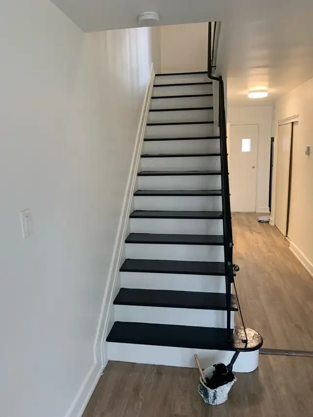 painter/ handyman available 525303458081034249
