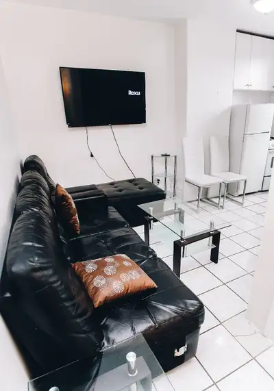 Furnished 2 bedroom apt, Dundas/College Station, TMU, Aug 1