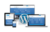 I will develop a WordPress or business website within 12 hours.