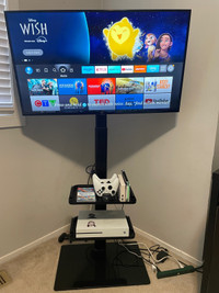 Amazon Fire TV 40" Smart TV + Floor TV Stand with Mount
