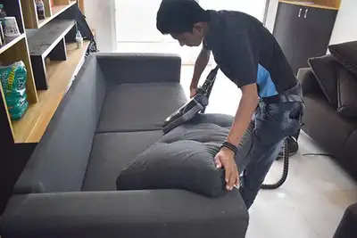 Steam Cleaning Sofas,Chairs,Recliners,Sectional Sofa, View more