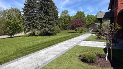 lawn maintenance, View more