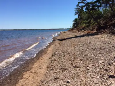 Ocean Breeze RV Park is a private RV Park for seasonal campers of all ages. Located in Marshville, o...