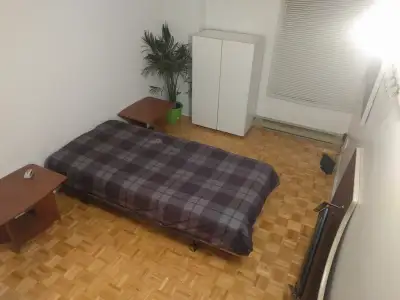 Chambre à louer