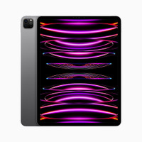 iPad Pro 4th gen 