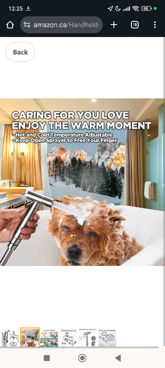 HOT & Cold Mix Warm Water Handheld bidet sprayer.62863739275137123