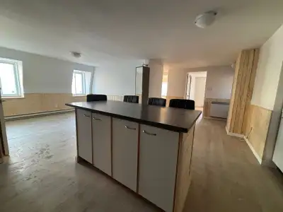 Spacieux 5 1/2 récemment rénové et situé à St-Sauveur, au 3e étage, offrant un espace de vie confort...