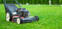 Lawn maintenance - grass cutting (Burlington area)