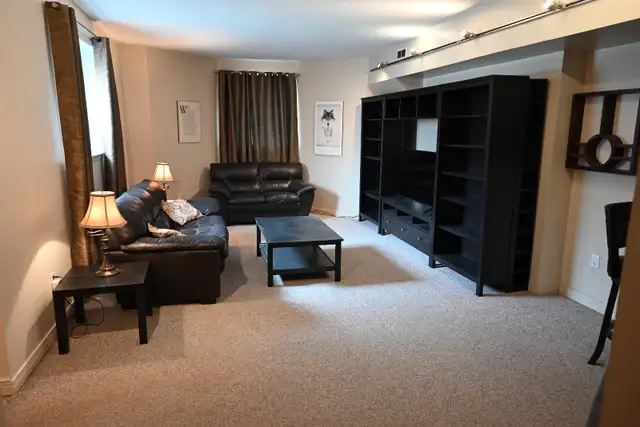 Furnished One-bedroom apartment in Durand neighborhood
