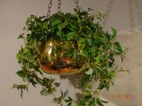ARTIFICIAL GREENERY HANGING IN BRASS BOWL