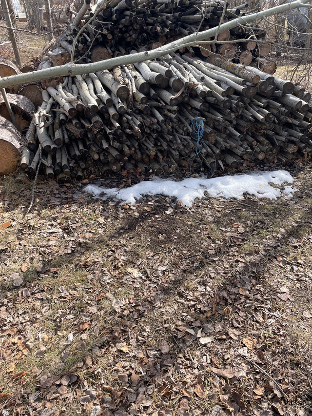 Fire wood  or logs for sale  dans Autre  à Comté de Strathcona