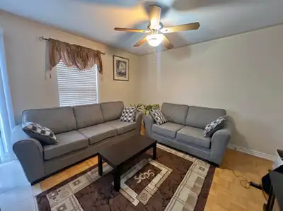 Modern gray fabric sofas, View more