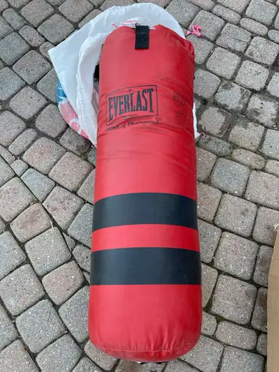 Everlast Punching Bag, View more