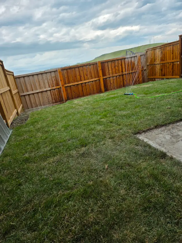 Sod/Grass Installation504480088752148483