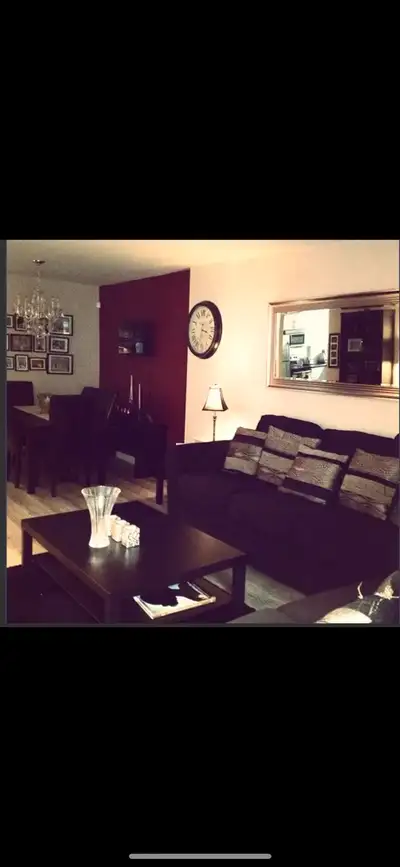 fully furnished one bedroom condo for rent in Winnipeg