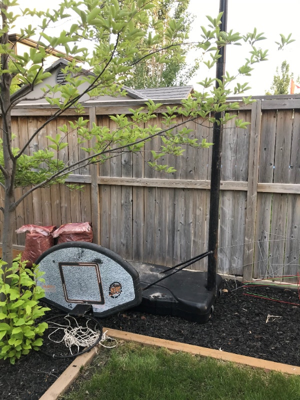 12ft Basketball hoop Basketball Calgary Kijiji