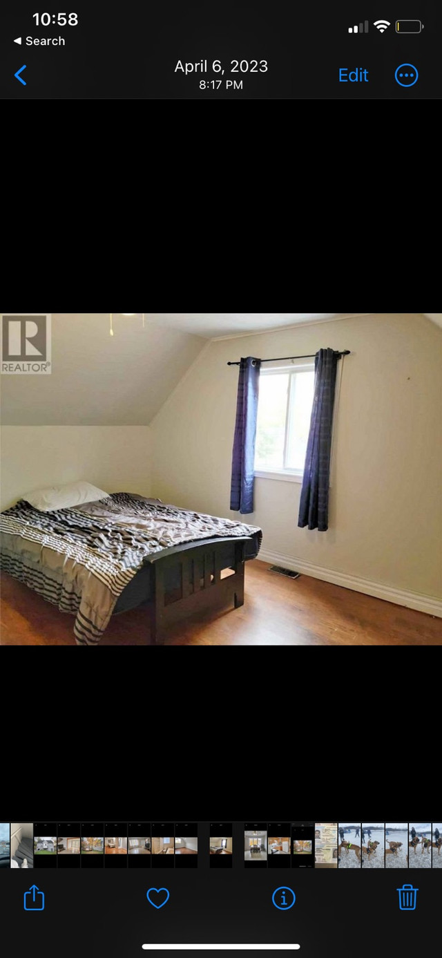 Room rental (pet friendly house) in Room Rentals & Roommates in Corner Brook - Image 3