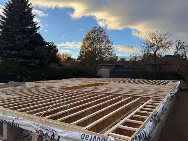 framing crew / demolition 552489597230786569