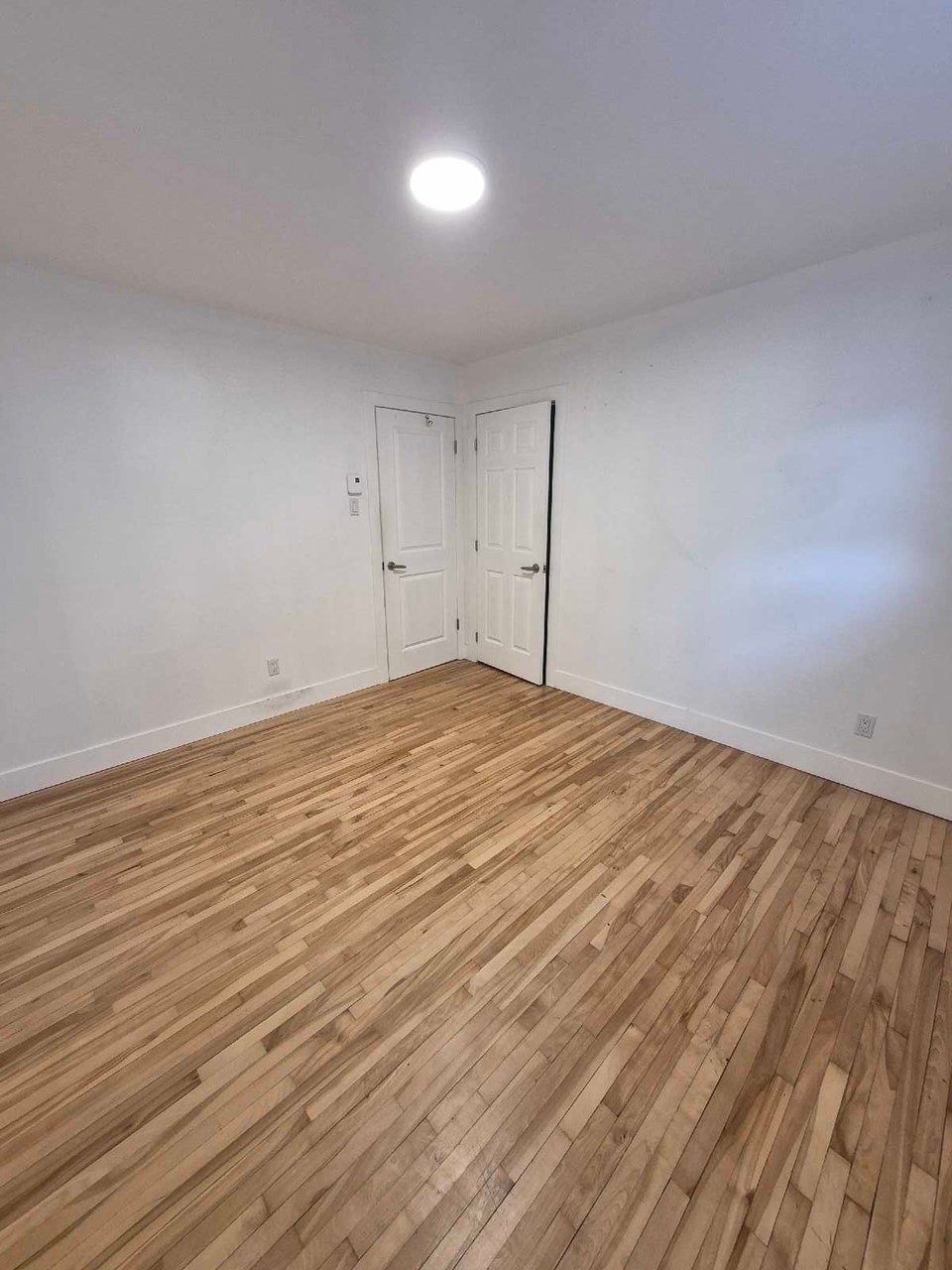 appartement 3 1/2 disponible immédiatement 4