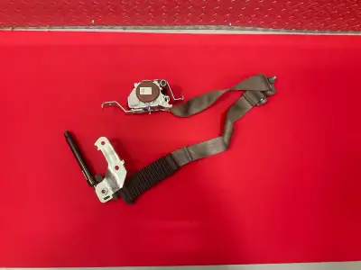 OEM Original Ford Seat Belt, Right Passenger Front, Fits F150 Models 2015-2020, Brown Colour.