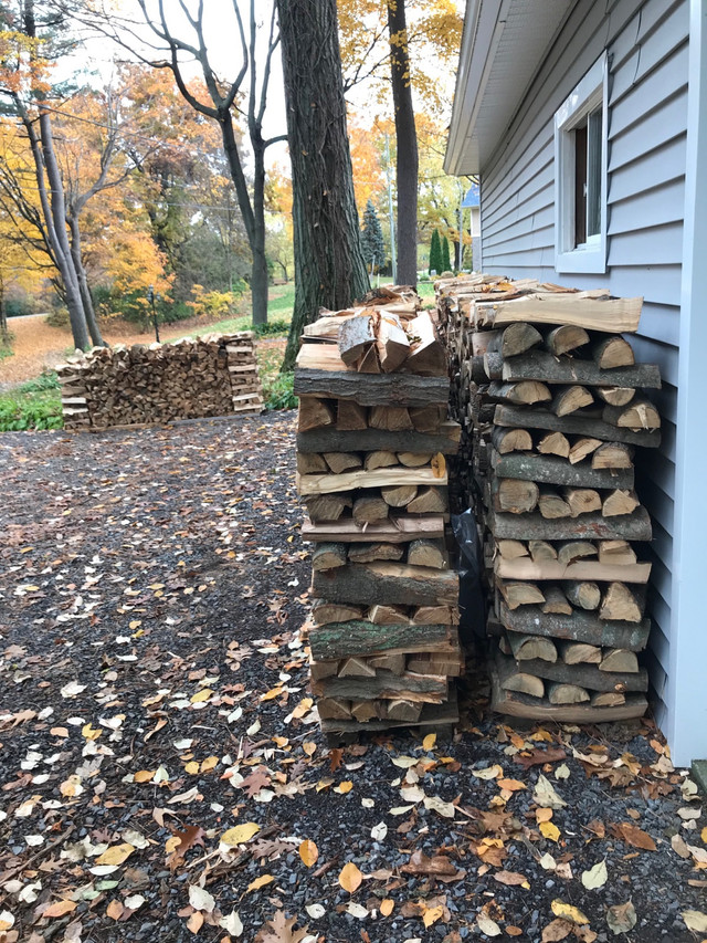 Maple firewood in Other in Kingston