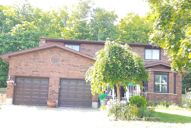 Room available for rent in four bedroom house