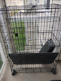 Barely used Catio