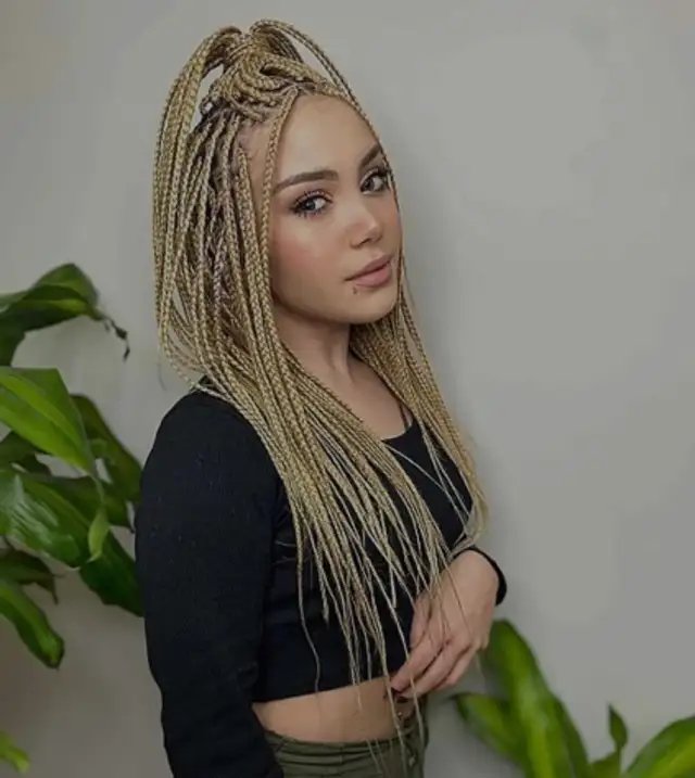 Braids in Hamilton64988210664705120