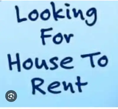 Looking for a house or a trailer to rent something under $1800 and dog friendly