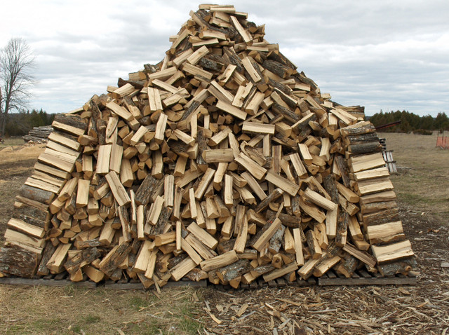 Firewood/Campfire Wood/Wood for Smokers in Other in Kingston