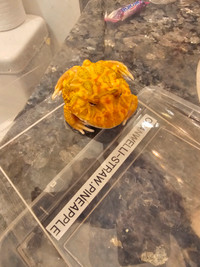 Pacman strawberry- pineapple for sale