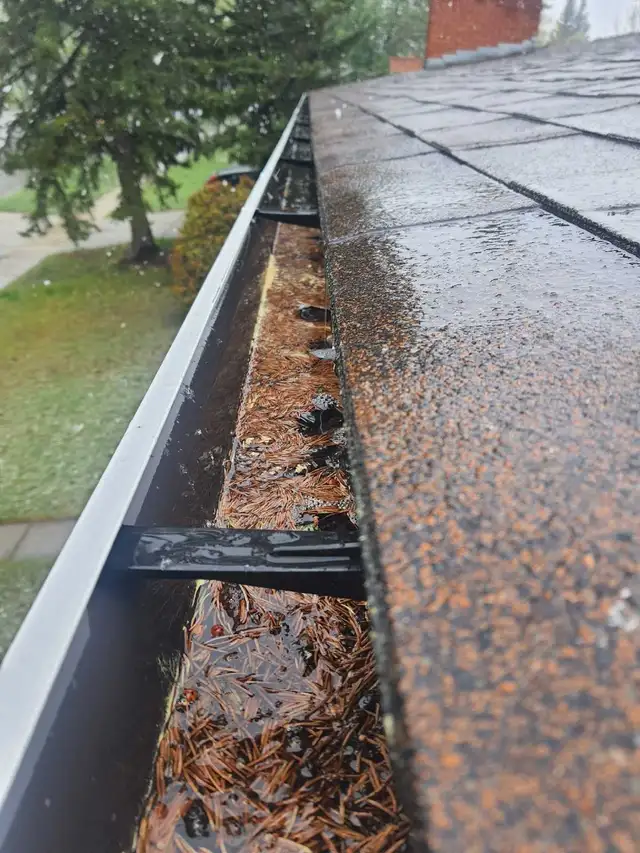 gutter cleaning 460148202055280641